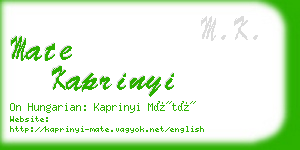 mate kaprinyi business card